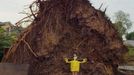 A Massive Tree is Uprooted by a Tornado While Nearby Houses Are Spared Original caption:The tree ripped apart the surrounding asphalt road. Pierce City, Missouri on May 4, 2003