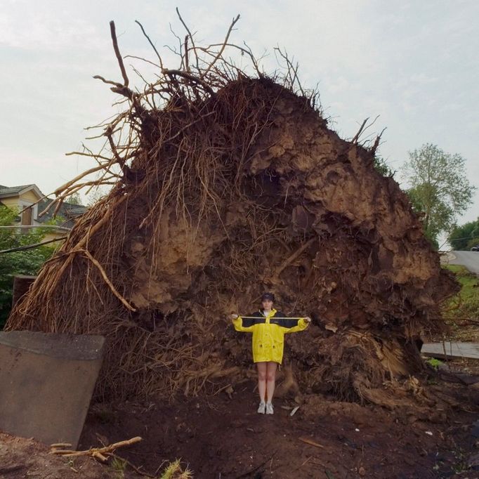 A Massive Tree is Uprooted by a Tornado While Nearby Houses Are Spared Original caption:The tree ripped apart the surrounding asphalt road. Pierce City, Missouri on May 4, 2003