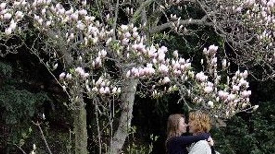 1. máj v České republice