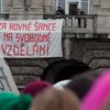 Týden neklidu - transparenty