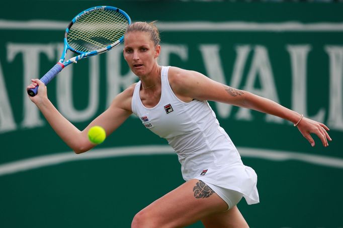 Karolína Plíšková na turnaji v Eastbourne.