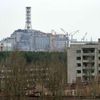 Černobyl