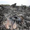 Trosky MH17.