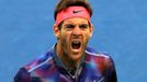 Juan Martín del Potro na US Open 2017 (osmifinále)