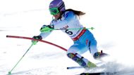 Třicetiletá Strachová se z medaile na MS radovala opět po šesti letech. Ve Val d'Isere brala v roce 2009 stříbro. První cenný kov vybojovala už před deseti lety v italské Santa Caterině, kde skončila také třetí. Tu nejcennější zlatou si na krk pověsila o dva roky později ve švédském Aare.