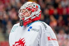 Škrty v reprezentaci, na MS nebudou Kacetl či Galvas. Posily z NHL naopak potvrzeny