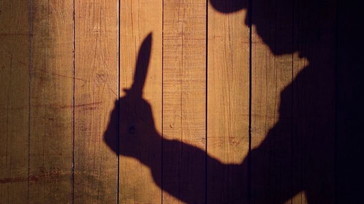 Padesáté doživotí v Česku. Muž před dětmi ubodal expartnerku, sedí i jeho bratr