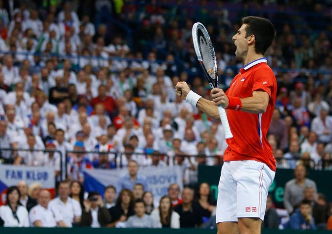 Davis Cup, finále Srbsko-ČR: Novak Djokovič