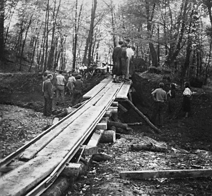 Archivní snímek z historie Brněnské ZOO, která letos v srpnu oslavila kulaté výročí 70. let od svého založení.