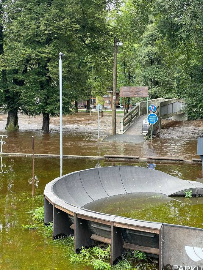 Otava v Sušici.