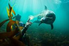 Dechberoucí snímky podmořského světa: Český fotograf našel v Atlantiku sám sebe