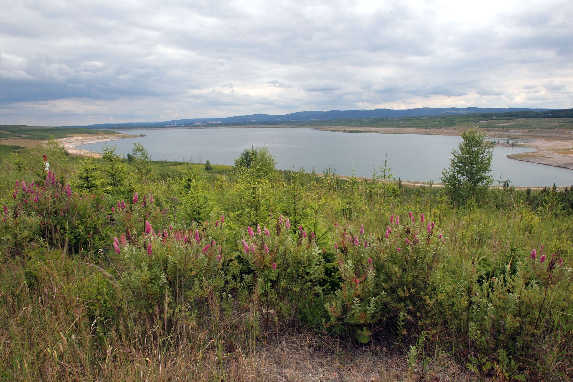 Jezero Medard ze země
