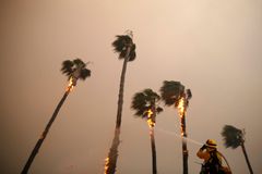 Počet obětí požáru v severní Kalifornii stoupl na 79