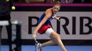 Finále Fed Cupu 2016 Francie-ČR: Karolína Plíšková