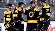 NHL Boston Bruins