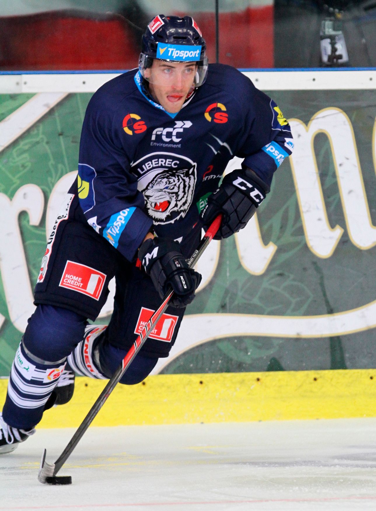 Michal Plutnar, Bílí Tygři Liberec