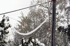 Výpadky proudu na Rychnovsku způsobily nehody na elektrickém vedení - množství těžkého sněhu, padající stromy a zlomené větve.