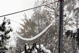 Výpadky proudu na Rychnovsku způsobily nehody na elektrickém vedení - množství těžkého sněhu, padající stromy a zlomené větve.