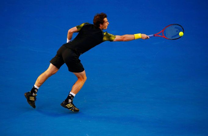 Australian Open: Andy Murray