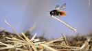 Fotografie ze soutěže Wildlife Photographer of the Year 2023