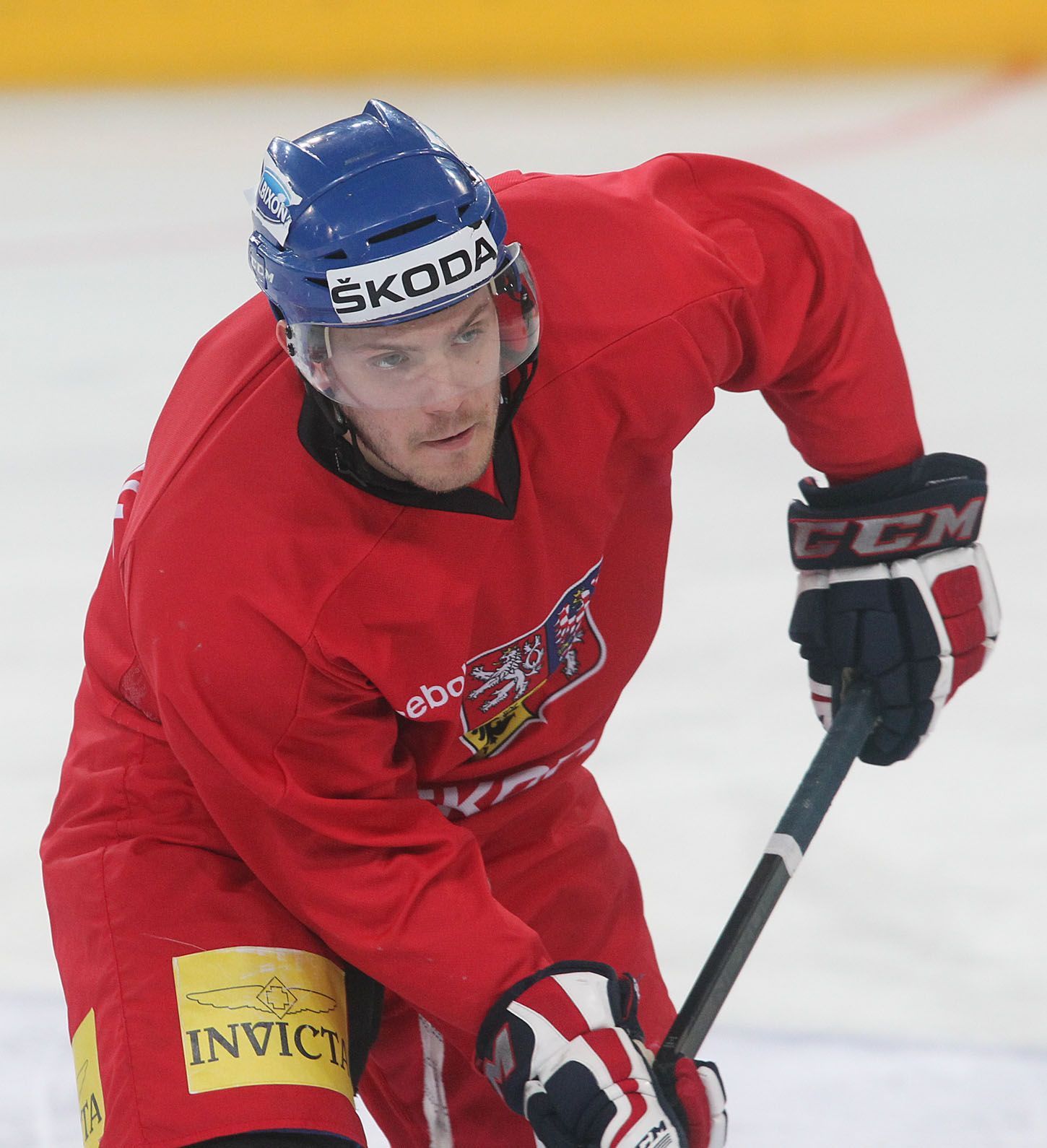 Trénink české hokejové reprezentace (Tomáš Rachůnek)