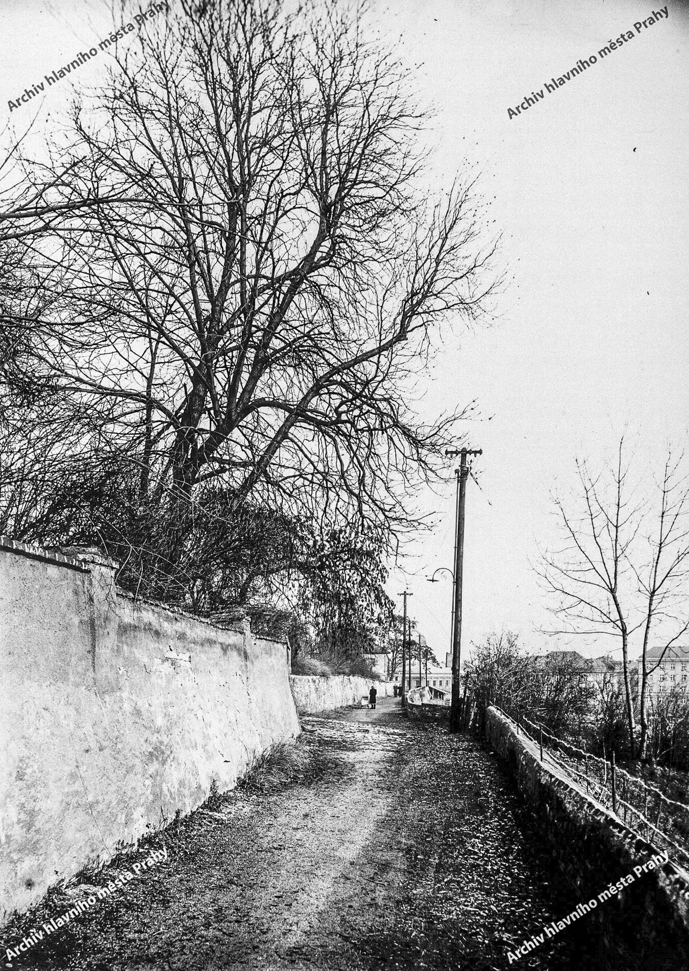 Dejvice, Historie, Seriál, Tenkrát, Praha, Pražská čtvrť, Praha 6