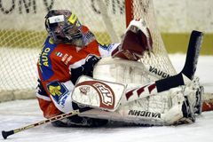 "Jen příprava na baráž." Litvínov se blíží nejhorším propadákům v historii extraligy