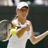 Ruská tenistka Anna Čakvetadzeová podlehla Nicole Vaidišové ve třech setech.
