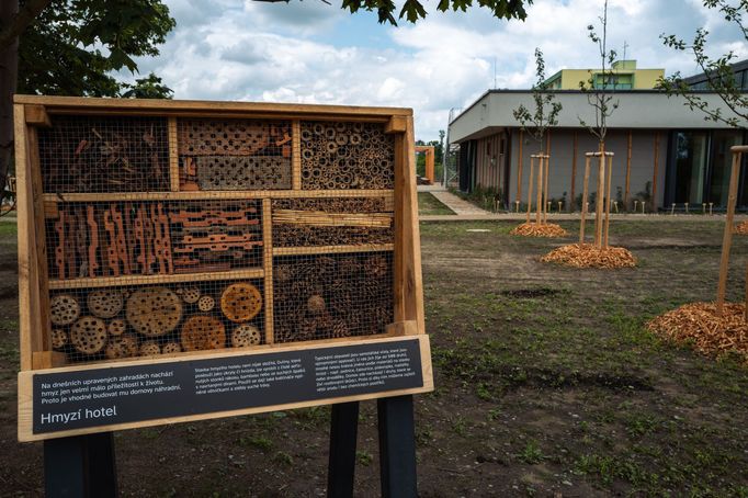 V Hodoníně otevřeli unikátní stavbu, která má za cíl přiblížit přírodní krásy národní přírodní památky Hodonínská Dúbrava (1. června 2024).