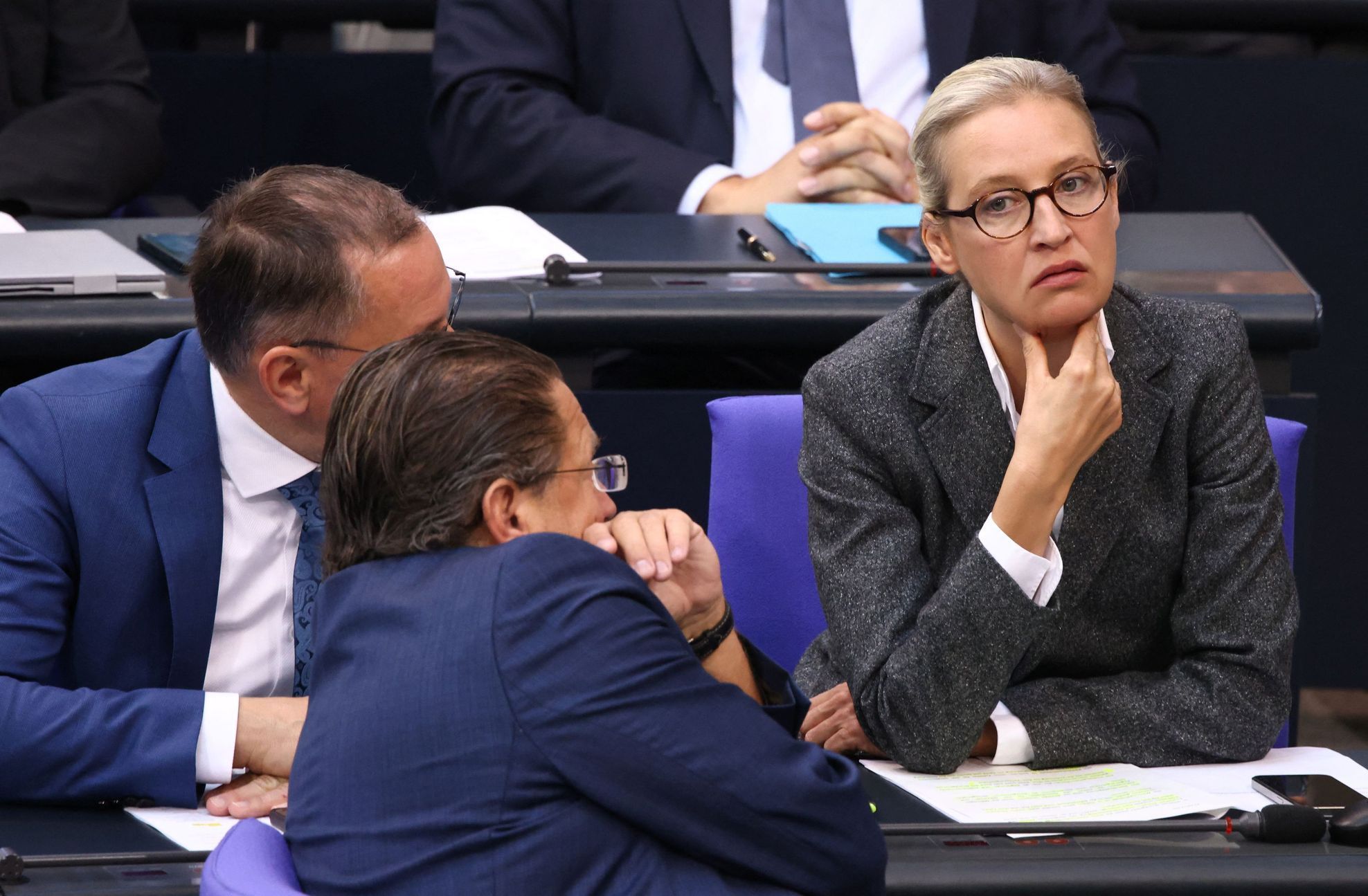 Německo AfD 3