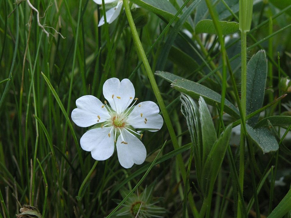 Příroda Křivoklátska