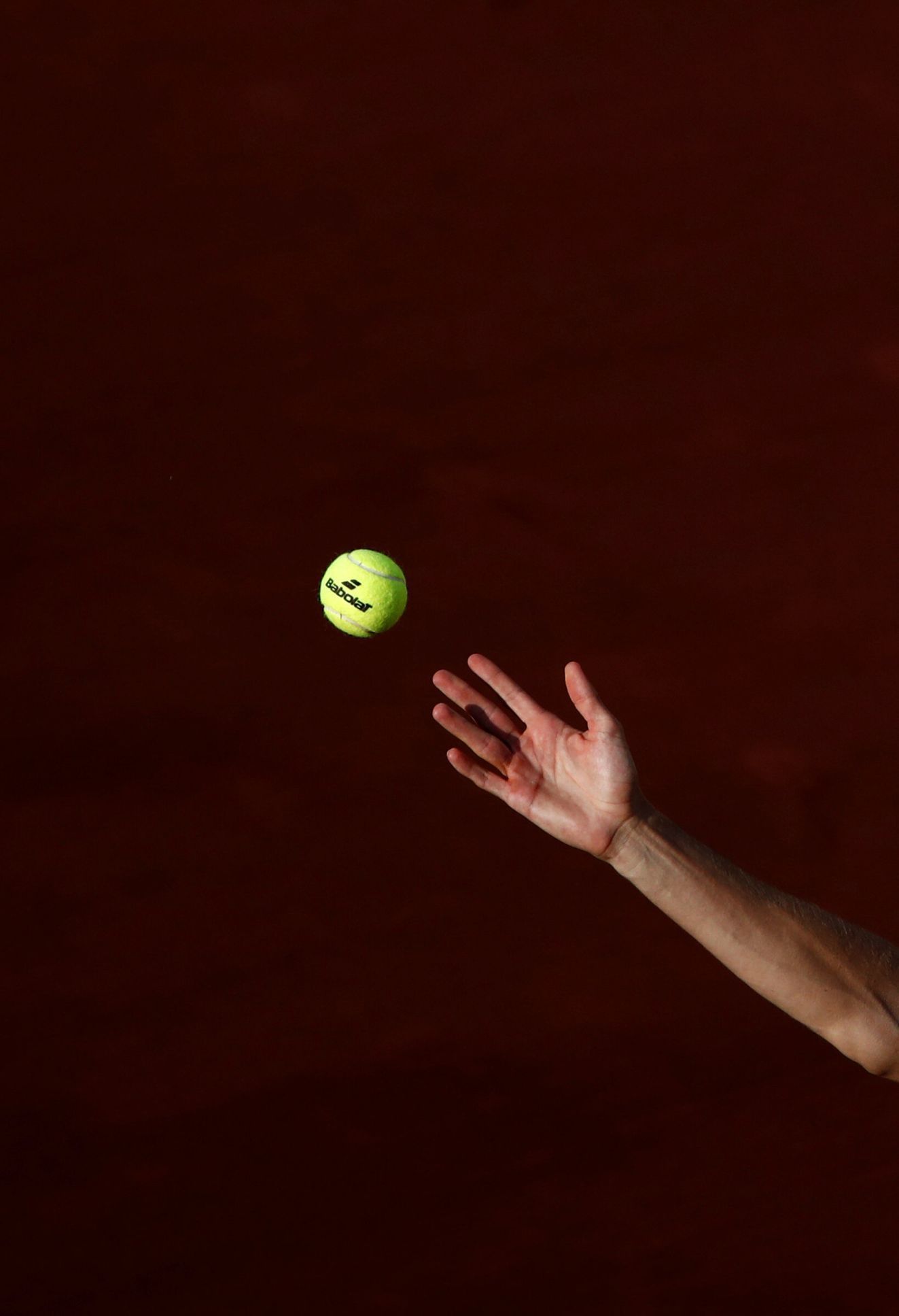 Albert Ramos-Vinolas na French Open 2018