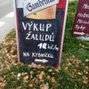 Cedule 2019 TOP