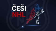 Češi v NHL - poutací obrázek grafiky