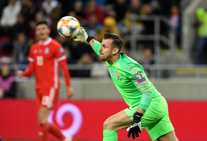 fotbal, kvalifikace ME 2020, Slovensko - Wales, brankář Martin Dúbravka