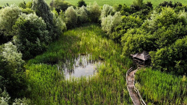 Češi reagují na sucho i povodně. Tůně a stromořadí vytváří i za paneláky či u dálnice