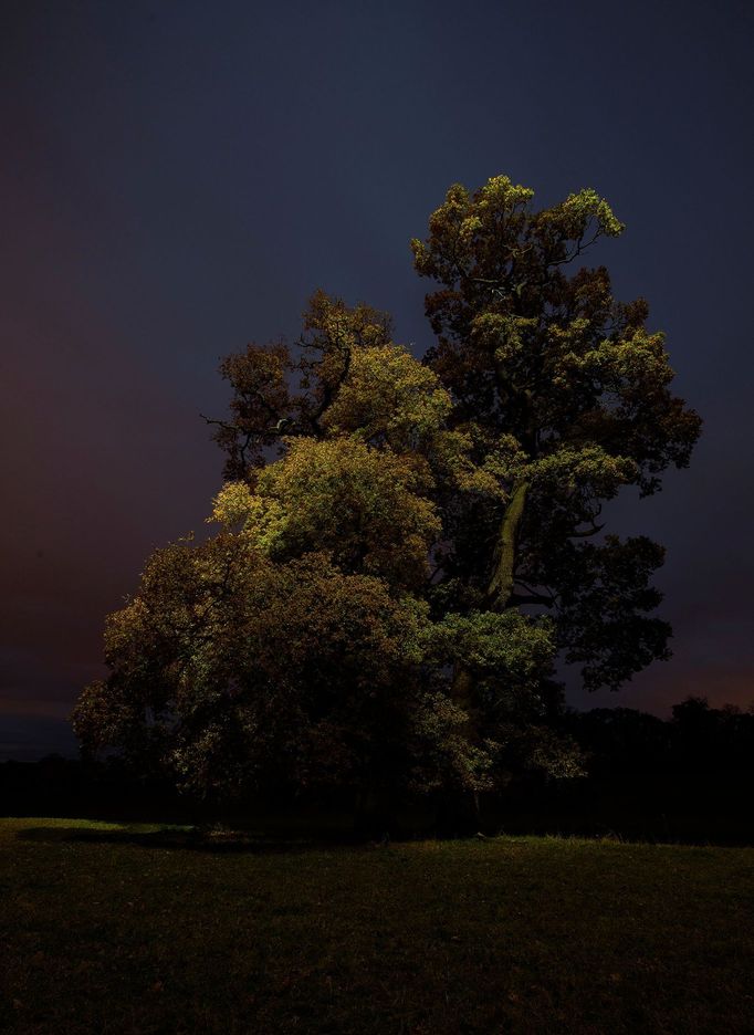 Nejlepší krajinářské fotografie v profesionální části soutěže Sony World Photography Awards 2022