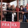 Koberec z begónií na Staroměstském náměstí