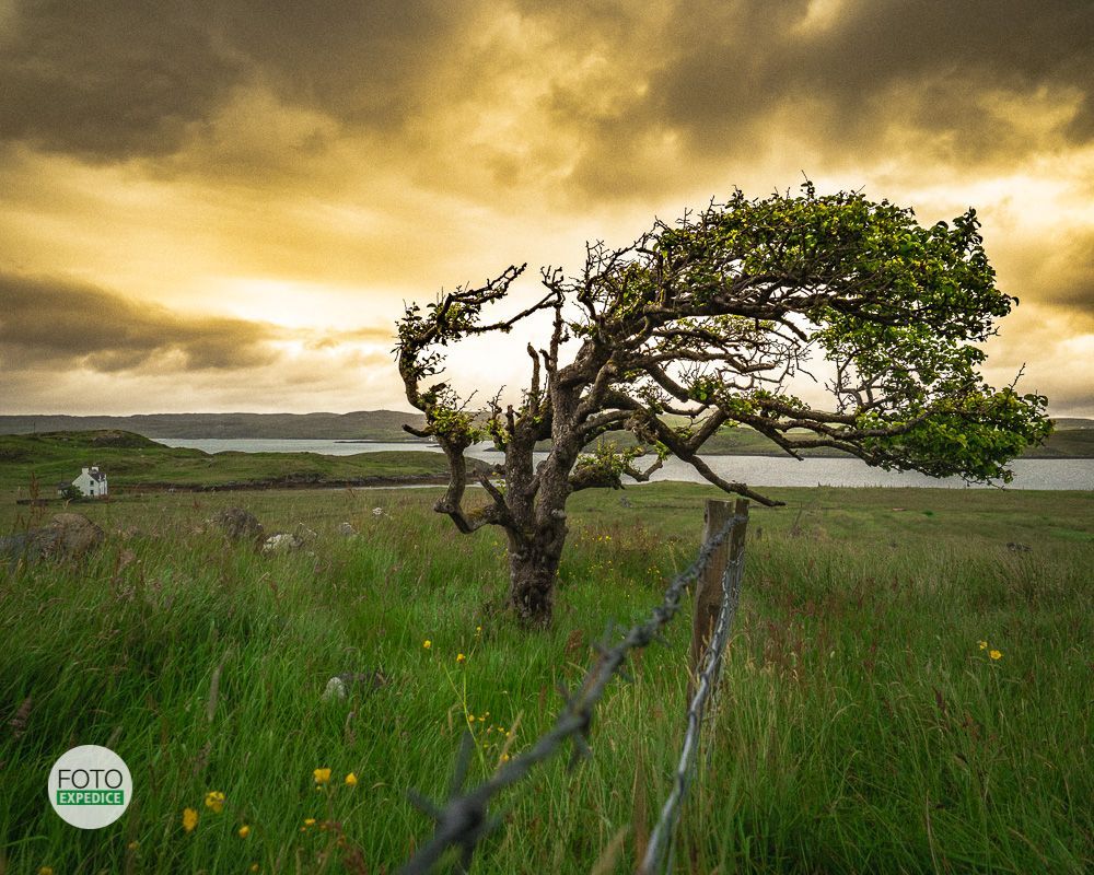 Martin Kamín: Skotsko