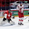 Hokej, MS 2013, Česko - Švýcarsko: Martin Hanzal