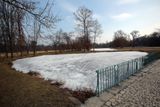Týdenní mrazy, první letošní zimy, proměnily rybníky v pražské Královské oboře v luxusní sportoviště.