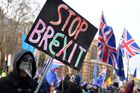 Britové chtějí odchod z EU odložit, ukázal průzkum. Tvrdý brexit podporují stále méně