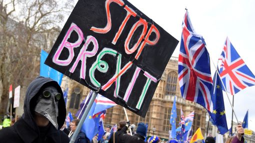 Demonstrace proti brexitu před Westminsterským palácem.