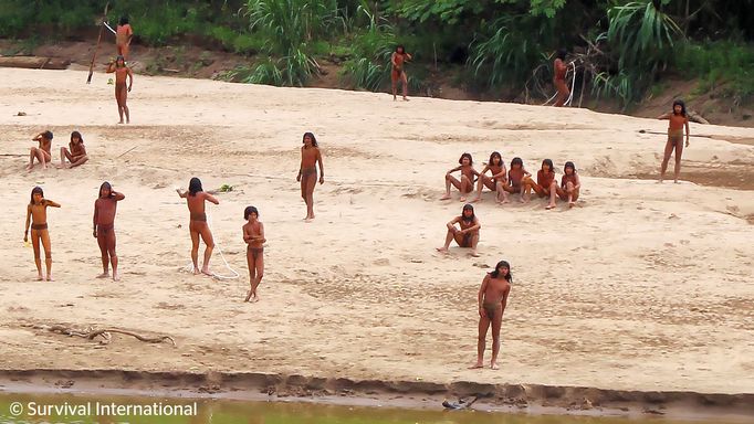 Nekontaktovaný kmen Mašco Piro z Amazonie opouští prales, pravděpodobně kvůli těžařům.