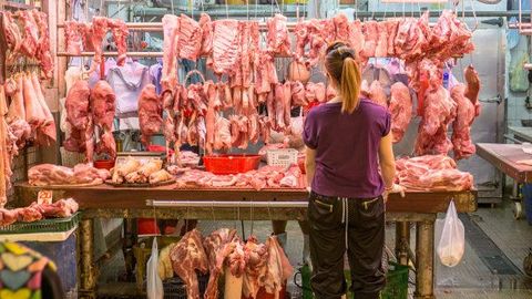 Díky genetickým úpravám je maso levnější a zdravější, zdravotní problémy nehrozí, tvrdí expert