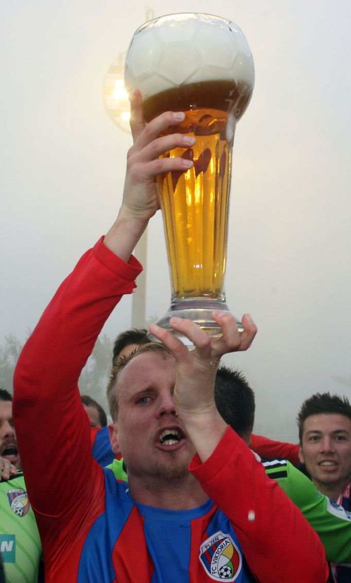 Fotbal, Gambrinus liga, Hradec Králové - Plzeň: David Limberský