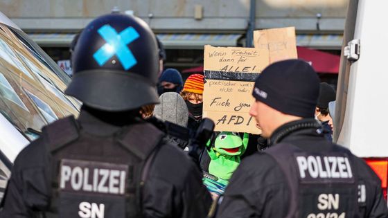 Německo demonstrace AFD