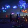 The art installation Pulse &amp; Bloom is seen at nigth during the Burning Man 2014 &quot;Caravansary&quot; arts and music festival in the Black Rock Desert of Nevada