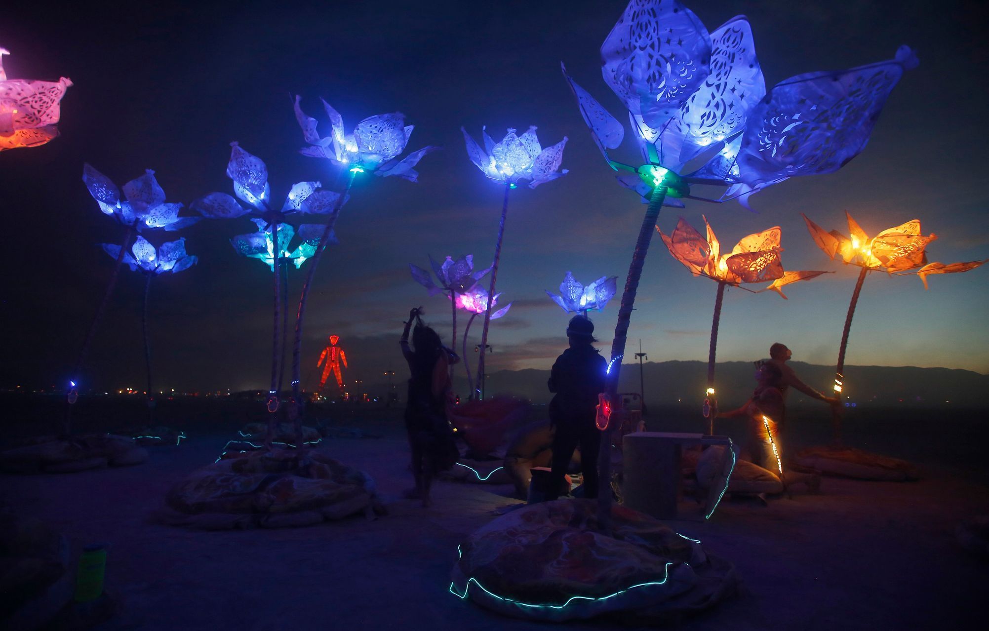 The art installation Pulse &amp; Bloom is seen at nigth during the Burning Man 2014 &quot;Caravansary&quot; arts and music festival in the Black Rock Desert of Nevada