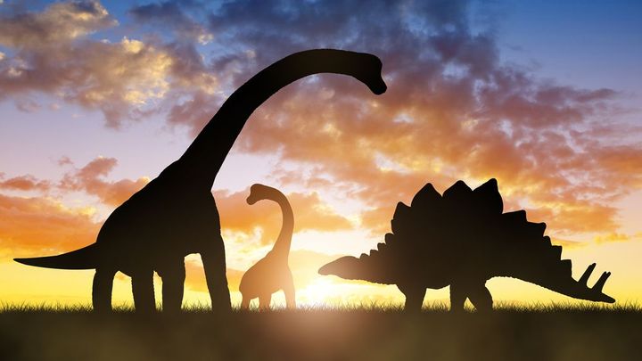 V Portugalsku na zahradě objevili dinosaura. Mohl by být největší v Evropě; Zdroj foto: Shutterstock
